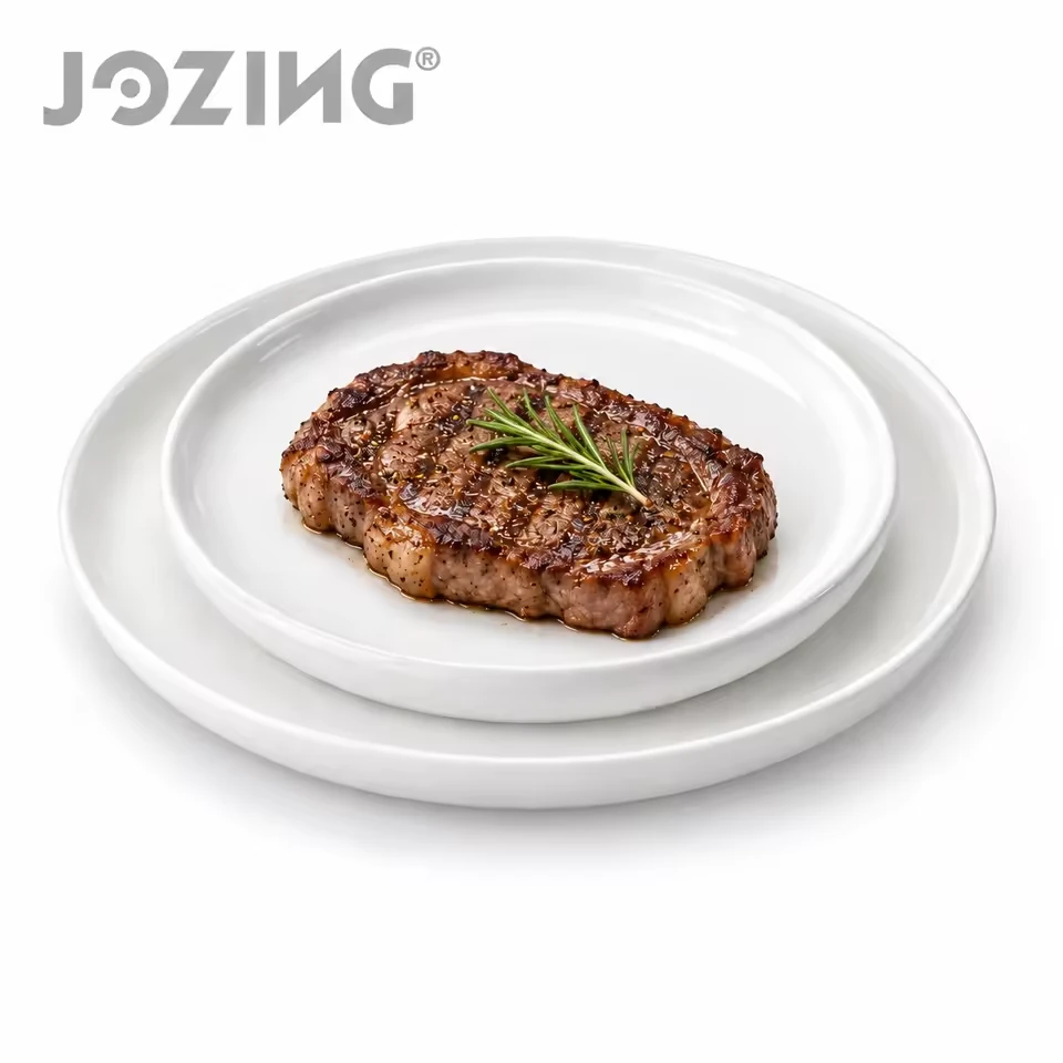 10.2inch and 8.3inch White Ceramic Steak Plate Set product view